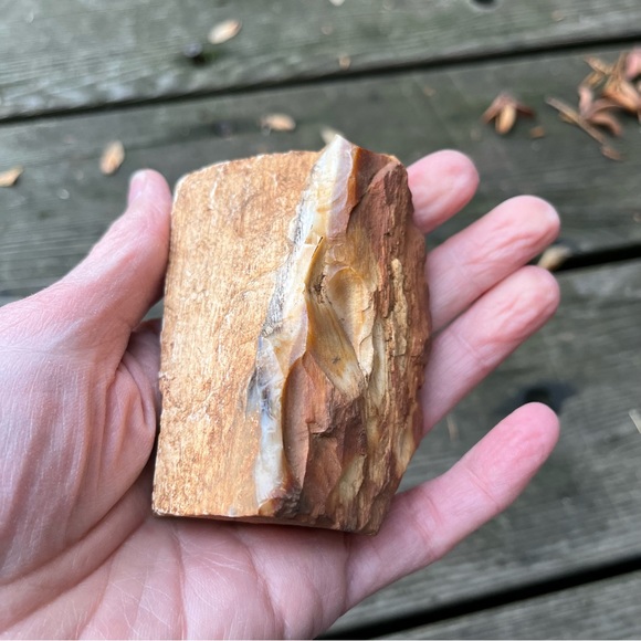 Petrified Wood 2 Piece Set - Picture 7 of 16